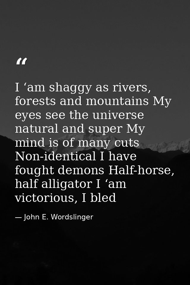 I ‘am shaggy as rivers, forests and mountains My eyes see the universe natural and super My mind is of many cuts Non-ide — John E. Wordslinger