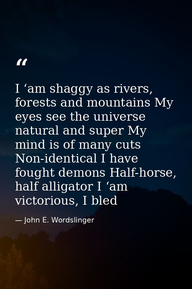I ‘am shaggy as rivers, forests and mountains My eyes see the universe natural and super My mind is of many cuts Non-ide — John E. Wordslinger