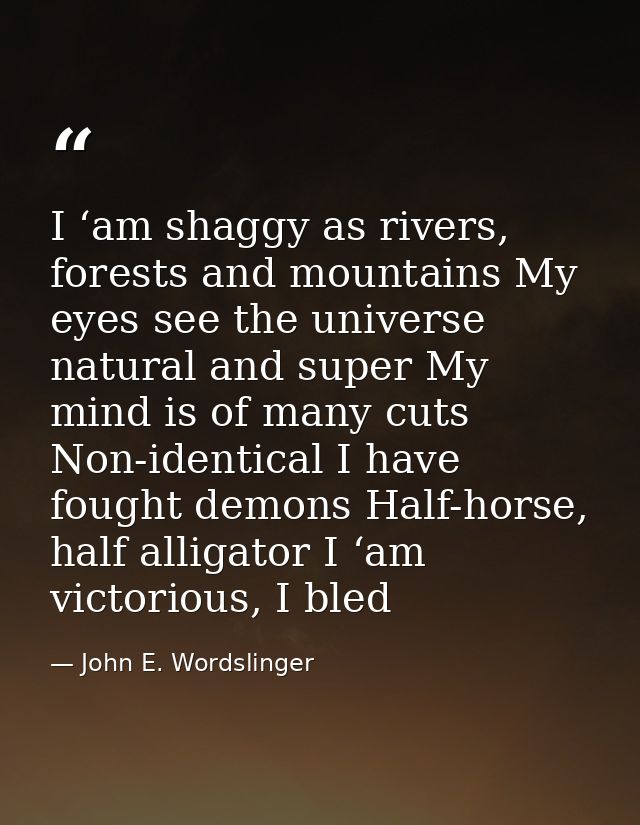 I ‘am shaggy as rivers, forests and mountains My eyes see the universe natural and super My mind is of many cuts Non-ide — John E. Wordslinger