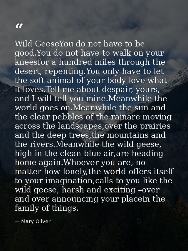 Wild GeeseYou do not have to be good.You do not have to walk on your kneesfor a hundred miles through the desert, repent — Mary Oliver
