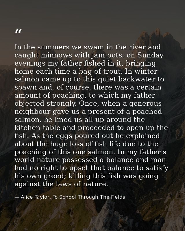 In the summers we swam in the river and caught minnows with jam pots; on Sunday evenings my father fished in it, bringin — Alice Taylor, To School Through The Fields