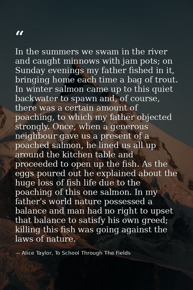 In the summers we swam in the river and caught minnows with jam pots; on Sunday evenings my father fished in it, bringin — Alice Taylor, To School Through The Fields