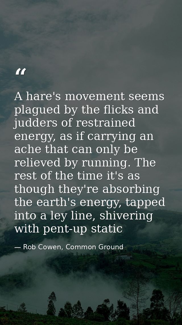 A hare's movement seems plagued by the flicks and judders of restrained energy, as if carrying an ache that can only be  — Rob Cowen, Common Ground