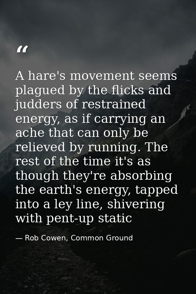 A hare's movement seems plagued by the flicks and judders of restrained energy, as if carrying an ache that can only be  — Rob Cowen, Common Ground