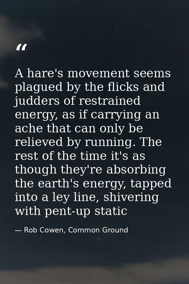 A hare's movement seems plagued by the flicks and judders of restrained energy, as if carrying an ache that can only be  — Rob Cowen, Common Ground