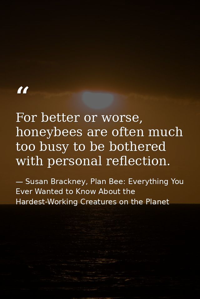 For better or worse, honeybees are often much too busy to be bothered with personal reflection. — Susan Brackney, Plan Bee: Everything You Ever Wanted to Know About the Hardest-Working Creatures on the Planet