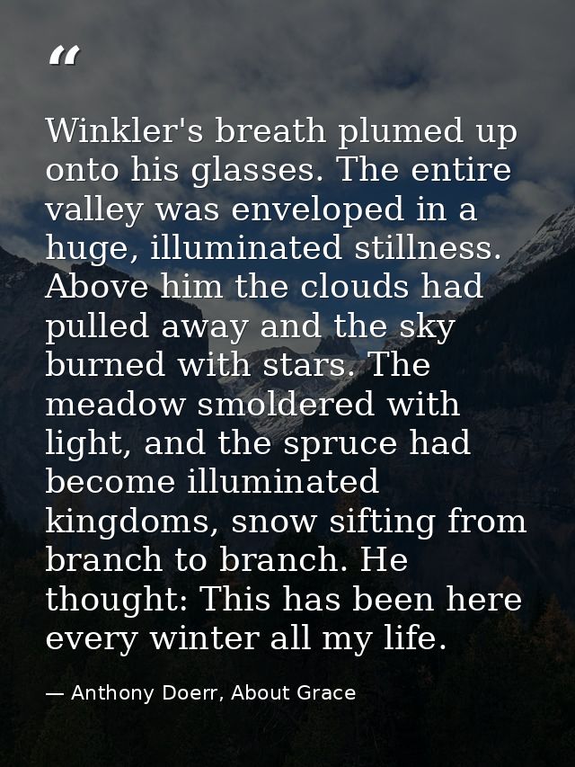 Winkler's breath plumed up onto his glasses. The entire valley was enveloped in a huge, illuminated stillness. Above him — Anthony Doerr, About Grace