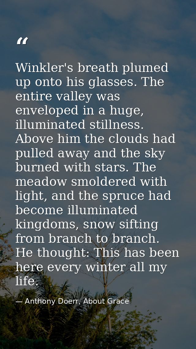 Winkler's breath plumed up onto his glasses. The entire valley was enveloped in a huge, illuminated stillness. Above him — Anthony Doerr, About Grace