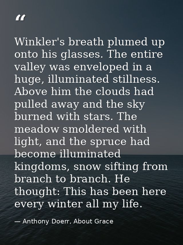 Winkler's breath plumed up onto his glasses. The entire valley was enveloped in a huge, illuminated stillness. Above him — Anthony Doerr, About Grace