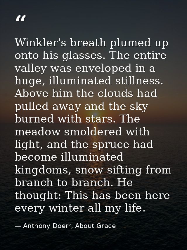 Winkler's breath plumed up onto his glasses. The entire valley was enveloped in a huge, illuminated stillness. Above him — Anthony Doerr, About Grace