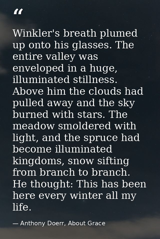 Winkler's breath plumed up onto his glasses. The entire valley was enveloped in a huge, illuminated stillness. Above him — Anthony Doerr, About Grace