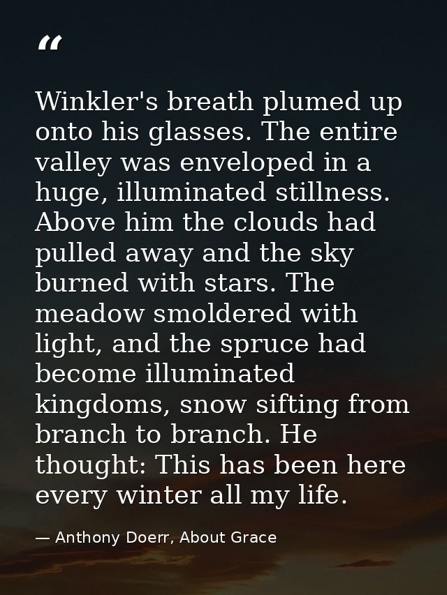 Winkler's breath plumed up onto his glasses. The entire valley was enveloped in a huge, illuminated stillness. Above him — Anthony Doerr, About Grace