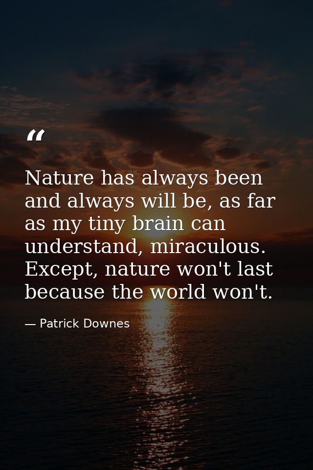 Nature has always been and always will be, as far as my tiny brain can understand, miraculous. Except, nature won't last — Patrick Downes