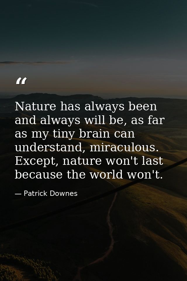 Nature has always been and always will be, as far as my tiny brain can understand, miraculous. Except, nature won't last — Patrick Downes