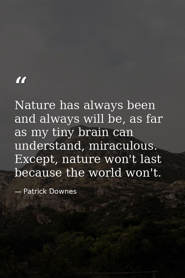 Nature has always been and always will be, as far as my tiny brain can understand, miraculous. Except, nature won't last — Patrick Downes