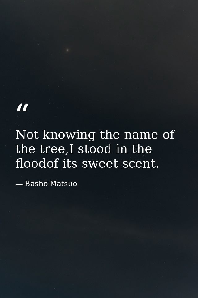Not knowing the name of the tree,I stood in the floodof its sweet scent. — Bashō Matsuo