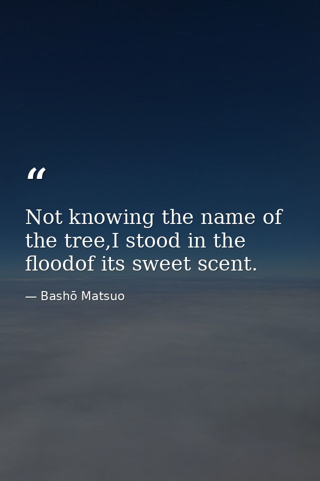 Not knowing the name of the tree,I stood in the floodof its sweet scent. — Bashō Matsuo