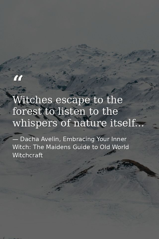 Witches escape to the forest to listen to the whispers of nature itself... — Dacha Avelin, Embracing Your Inner Witch: The Maidens Guide to Old World Witchcraft