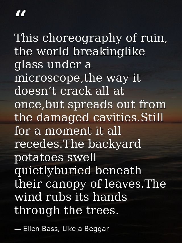 This choreography of ruin, the world breakinglike glass under a microscope,the way it doesn’t crack all at once,but spre — Ellen Bass, Like a Beggar