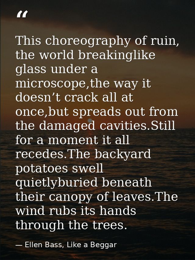 This choreography of ruin, the world breakinglike glass under a microscope,the way it doesn’t crack all at once,but spre — Ellen Bass, Like a Beggar