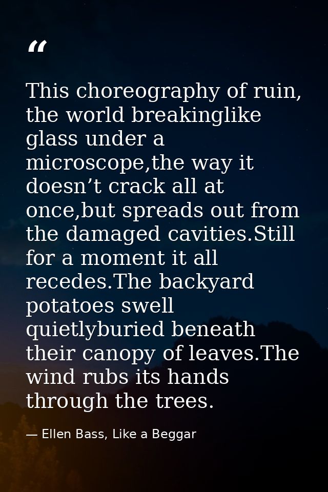 This choreography of ruin, the world breakinglike glass under a microscope,the way it doesn’t crack all at once,but spre — Ellen Bass, Like a Beggar