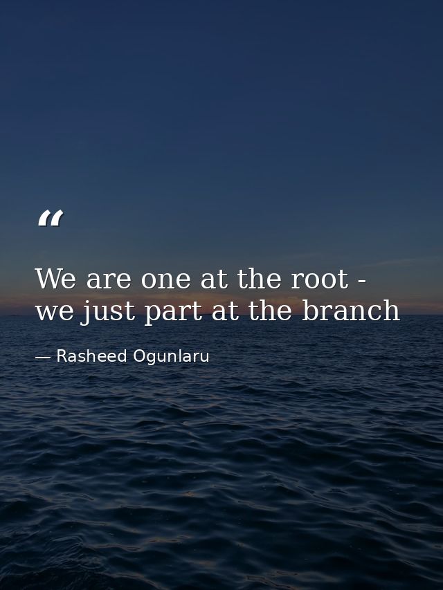 We are one at the root - we just part at the branch — Rasheed Ogunlaru