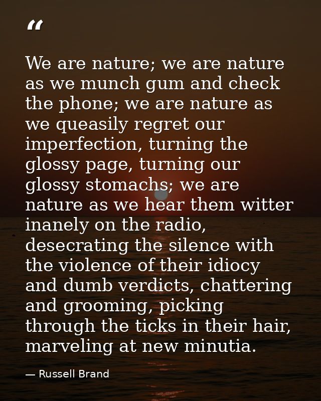 We are nature; we are nature as we munch gum and check the phone; we are nature as we queasily regret our imperfection,  — Russell Brand