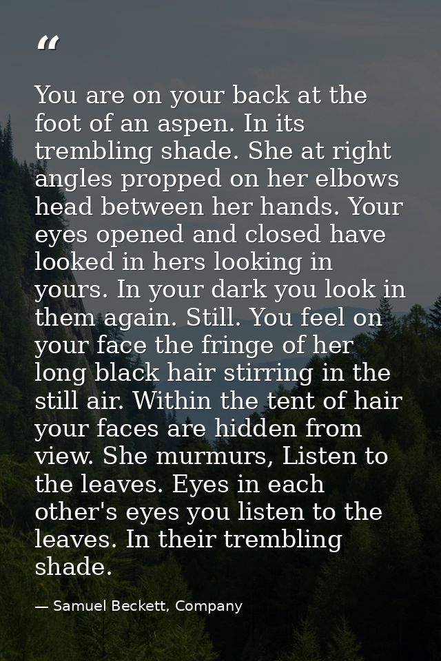 You are on your back at the foot of an aspen. In its trembling shade. She at right angles propped on her elbows head bet — Samuel Beckett, Company