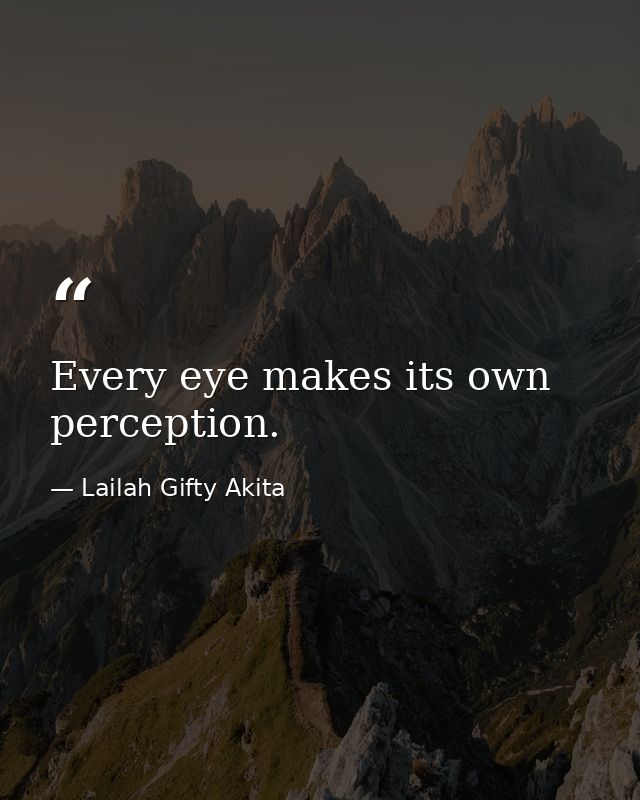 Every eye makes its own perception. — Lailah Gifty Akita