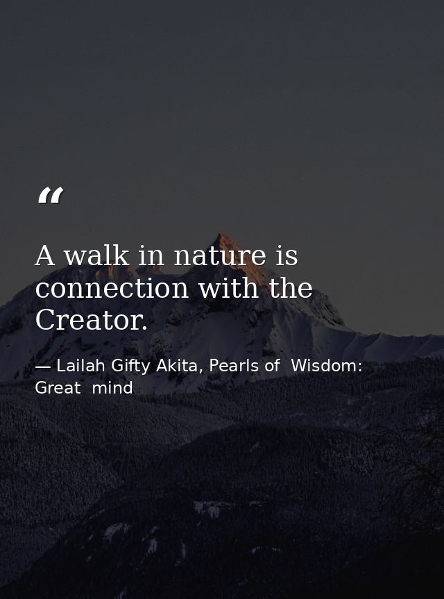 A walk in nature is connection with the Creator. — Lailah Gifty Akita, Pearls of  Wisdom: Great  mind