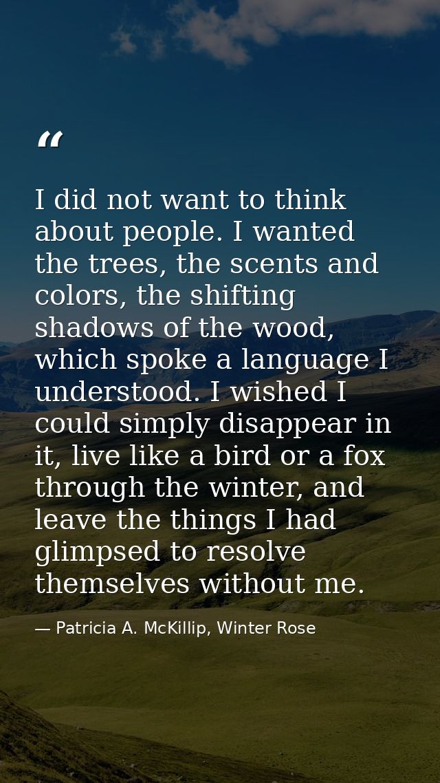 I did not want to think about people. I wanted the trees, the scents and colors, the shifting shadows of the wood, which — Patricia A. McKillip, Winter Rose