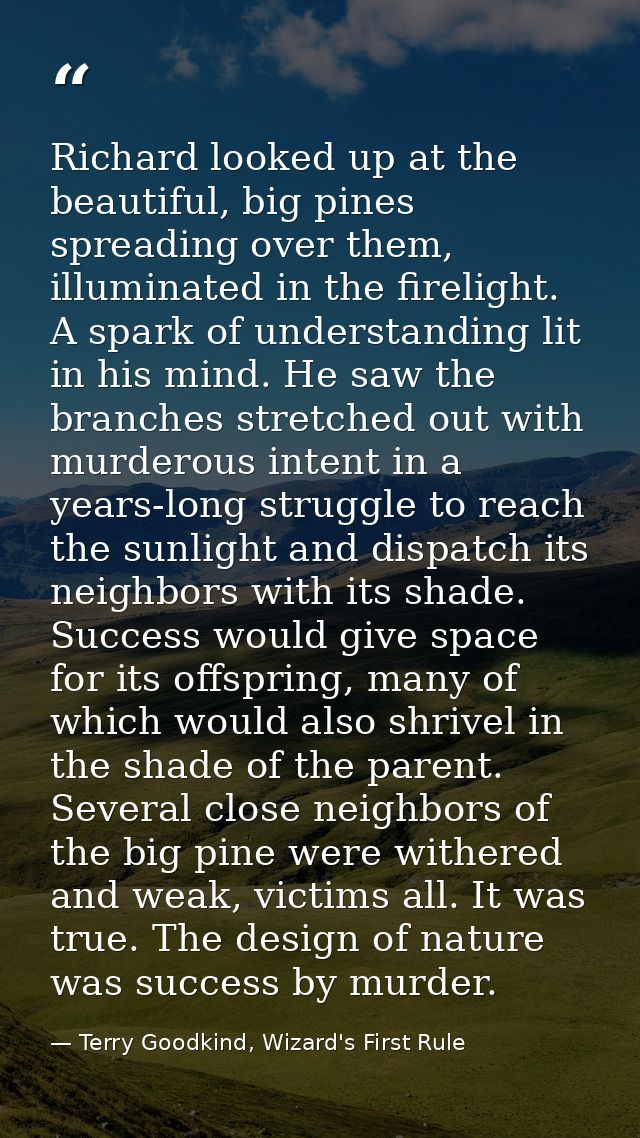 Richard looked up at the beautiful, big pines spreading over them, illuminated in the firelight. A spark of understandin — Terry Goodkind, Wizard's First Rule