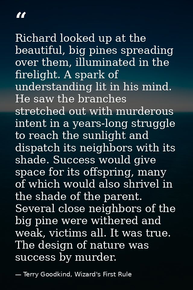 Richard looked up at the beautiful, big pines spreading over them, illuminated in the firelight. A spark of understandin — Terry Goodkind, Wizard's First Rule