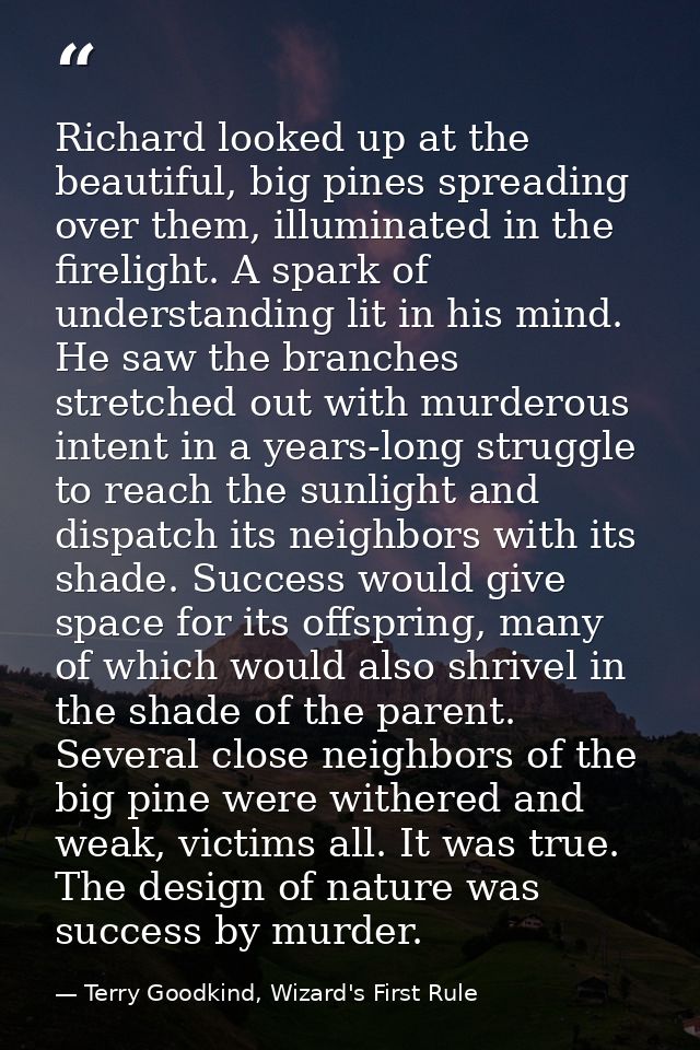 Richard looked up at the beautiful, big pines spreading over them, illuminated in the firelight. A spark of understandin — Terry Goodkind, Wizard's First Rule