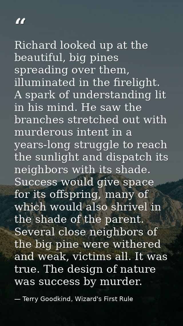 Richard looked up at the beautiful, big pines spreading over them, illuminated in the firelight. A spark of understandin — Terry Goodkind, Wizard's First Rule