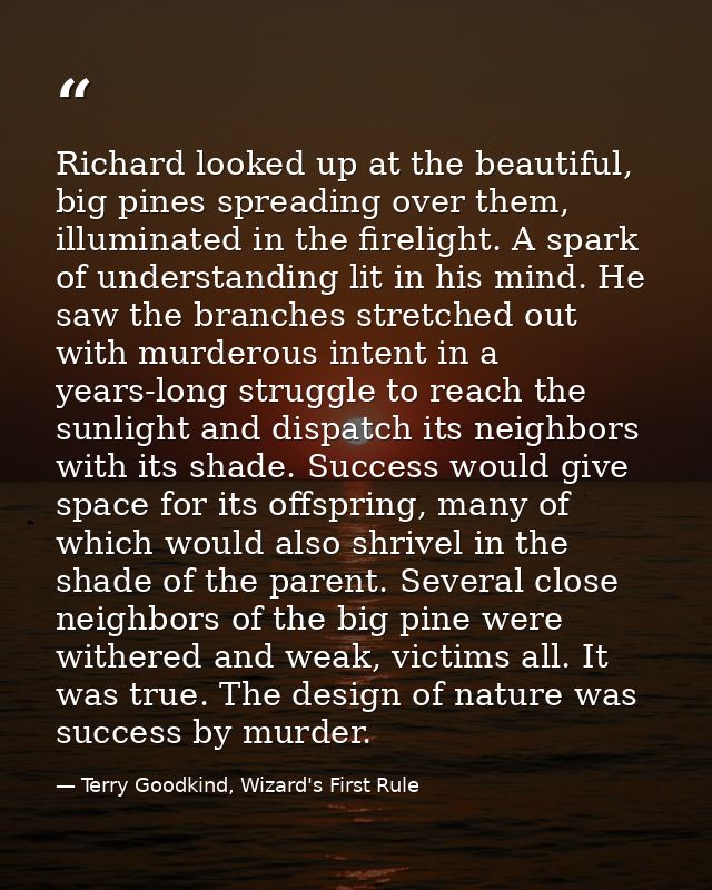 Richard looked up at the beautiful, big pines spreading over them, illuminated in the firelight. A spark of understandin — Terry Goodkind, Wizard's First Rule