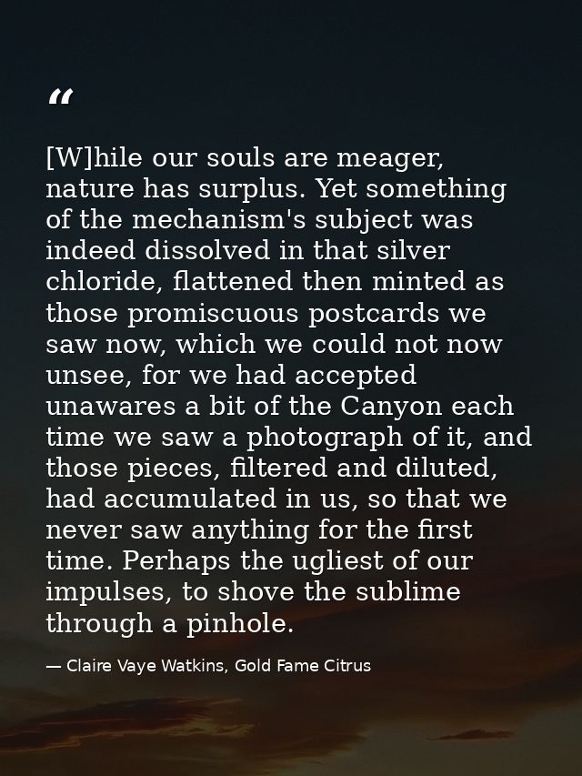 [W]hile our souls are meager, nature has surplus. Yet something of the mechanism's subject was indeed dissolved in that  — Claire Vaye Watkins, Gold Fame Citrus