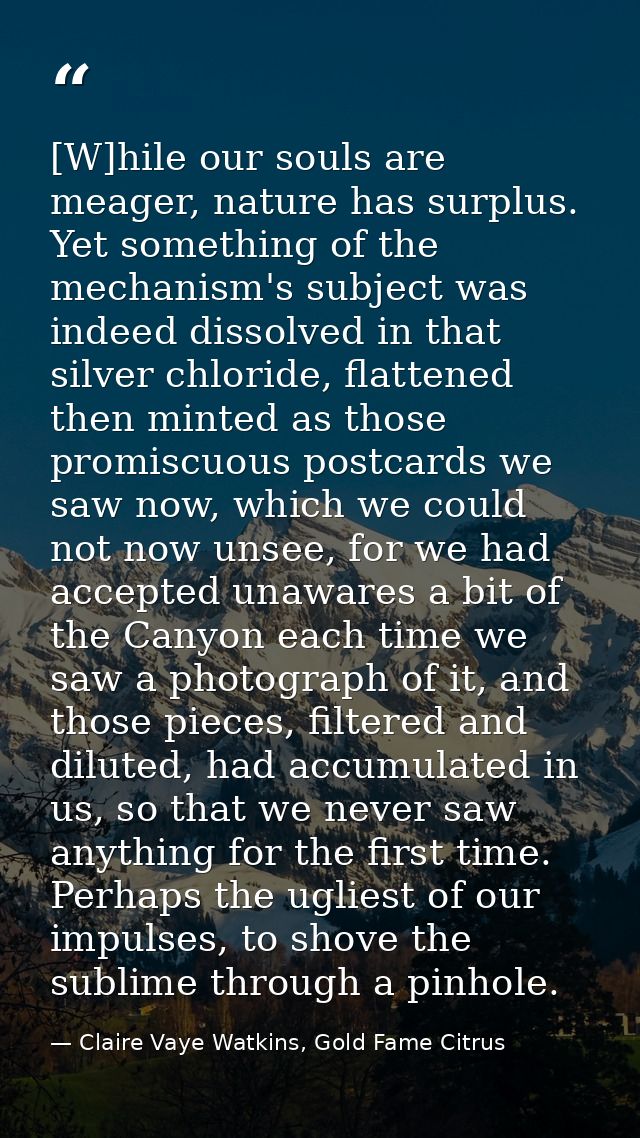 [W]hile our souls are meager, nature has surplus. Yet something of the mechanism's subject was indeed dissolved in that  — Claire Vaye Watkins, Gold Fame Citrus
