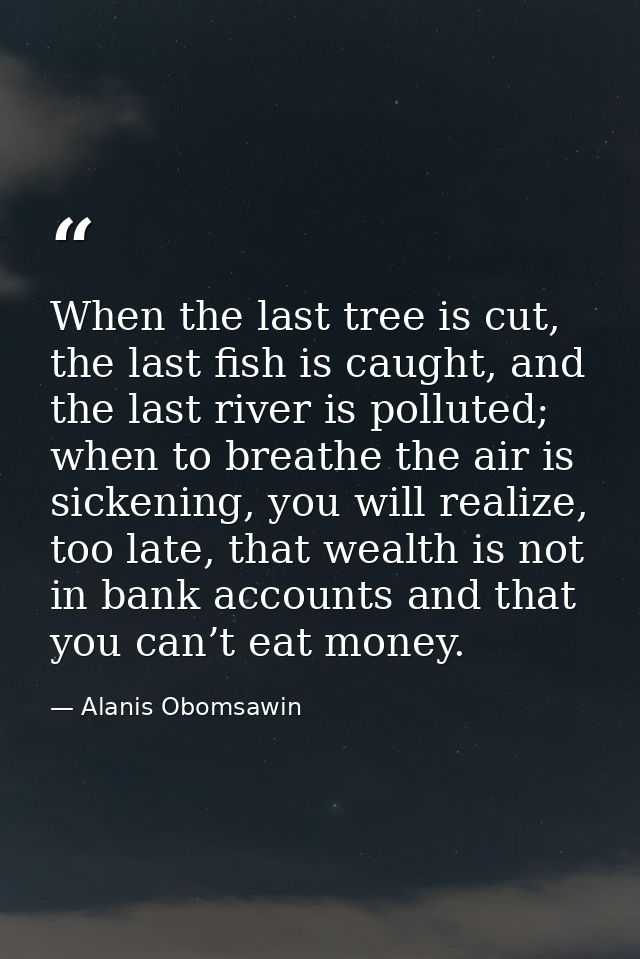 When the last tree is cut, the last fish is caught, and the last river is polluted; when to breathe the air is sickening — Alanis Obomsawin