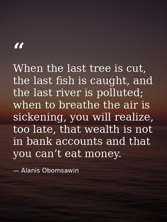 When the last tree is cut, the last fish is caught, and the last river is polluted; when to breathe the air is sickening — Alanis Obomsawin