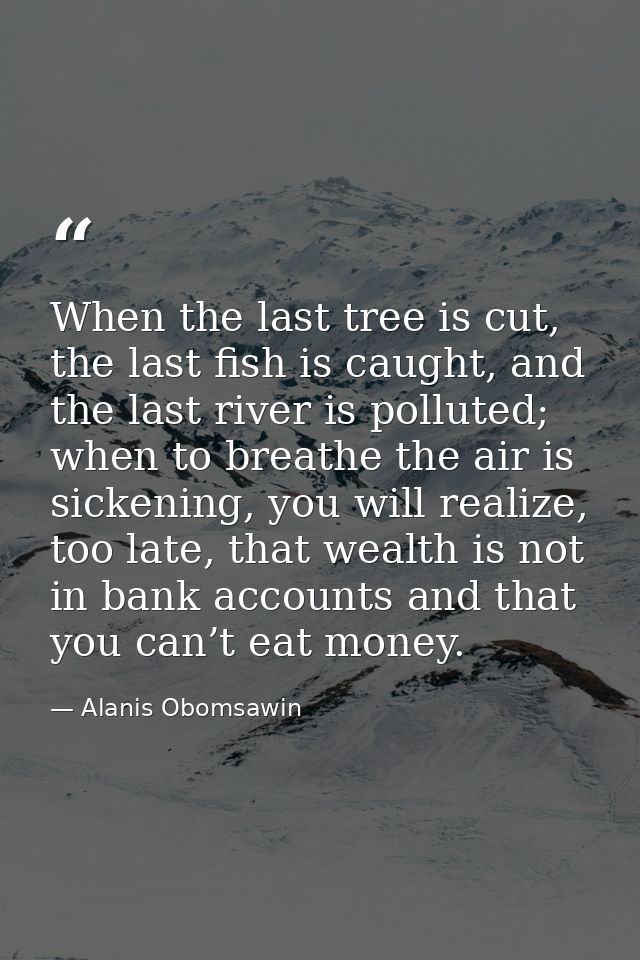 When the last tree is cut, the last fish is caught, and the last river is polluted; when to breathe the air is sickening — Alanis Obomsawin