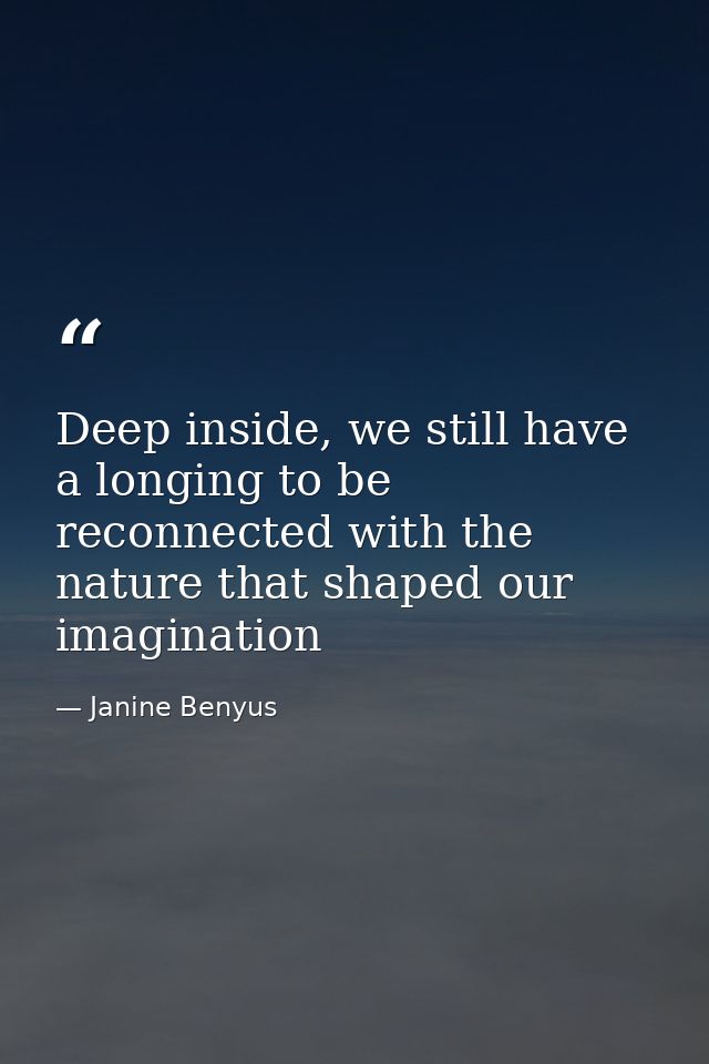 Deep inside, we still have a longing to be reconnected with the nature that shaped our imagination — Janine Benyus