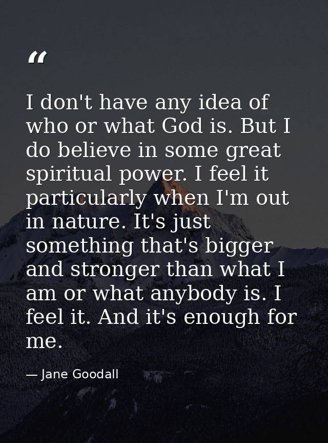 I don't have any idea of who or what God is. But I do believe in some great spiritual power. I feel it particularly when — Jane Goodall