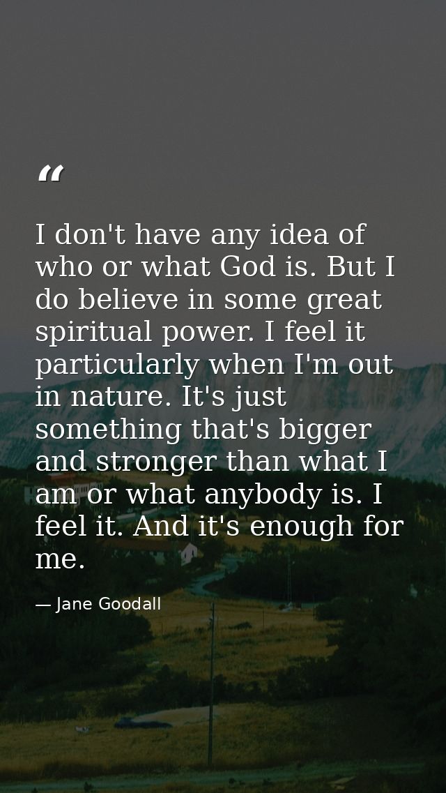 I don't have any idea of who or what God is. But I do believe in some great spiritual power. I feel it particularly when — Jane Goodall