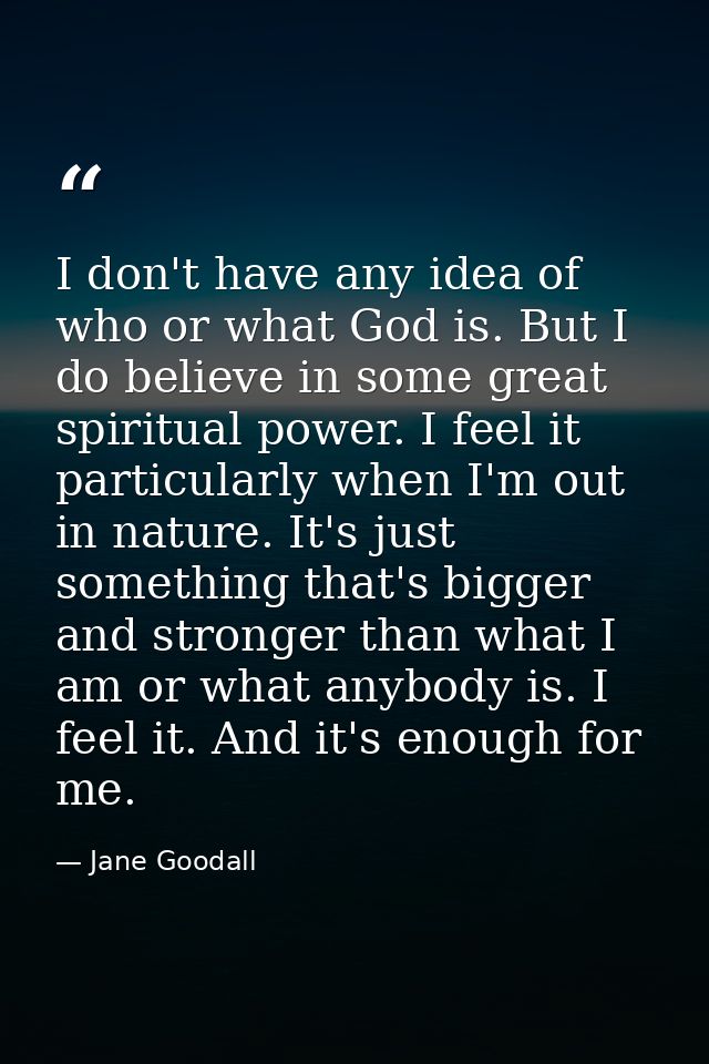 I don't have any idea of who or what God is. But I do believe in some great spiritual power. I feel it particularly when — Jane Goodall