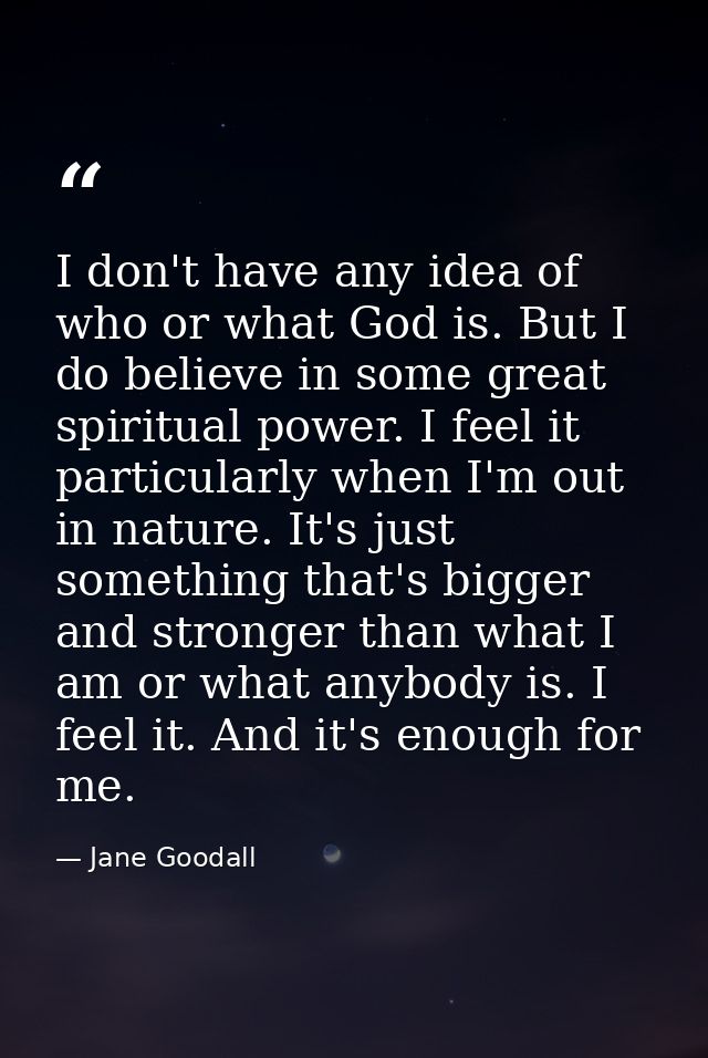 I don't have any idea of who or what God is. But I do believe in some great spiritual power. I feel it particularly when — Jane Goodall