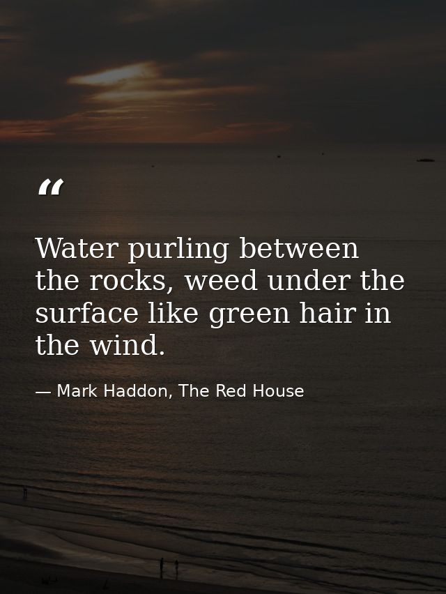 Water purling between the rocks, weed under the surface like green hair in the wind. — Mark Haddon, The Red House