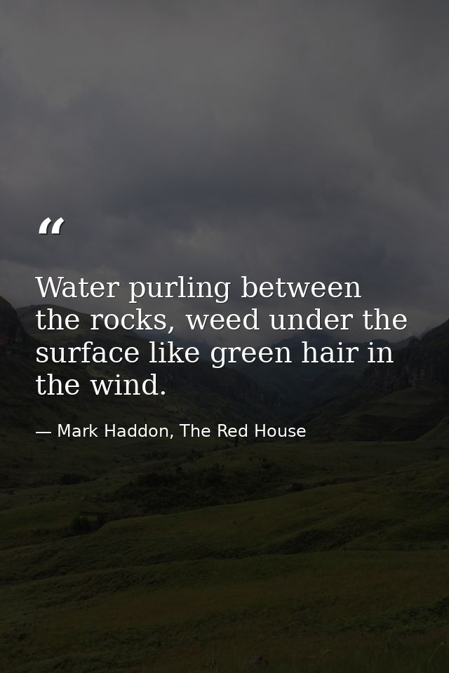 Water purling between the rocks, weed under the surface like green hair in the wind. — Mark Haddon, The Red House