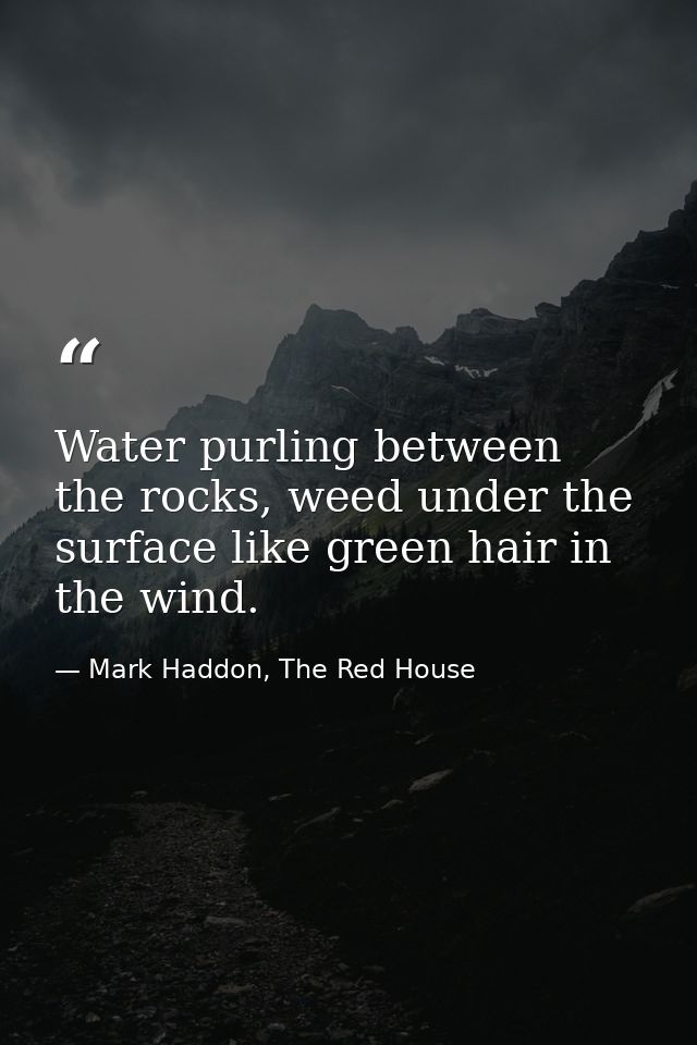 Water purling between the rocks, weed under the surface like green hair in the wind. — Mark Haddon, The Red House