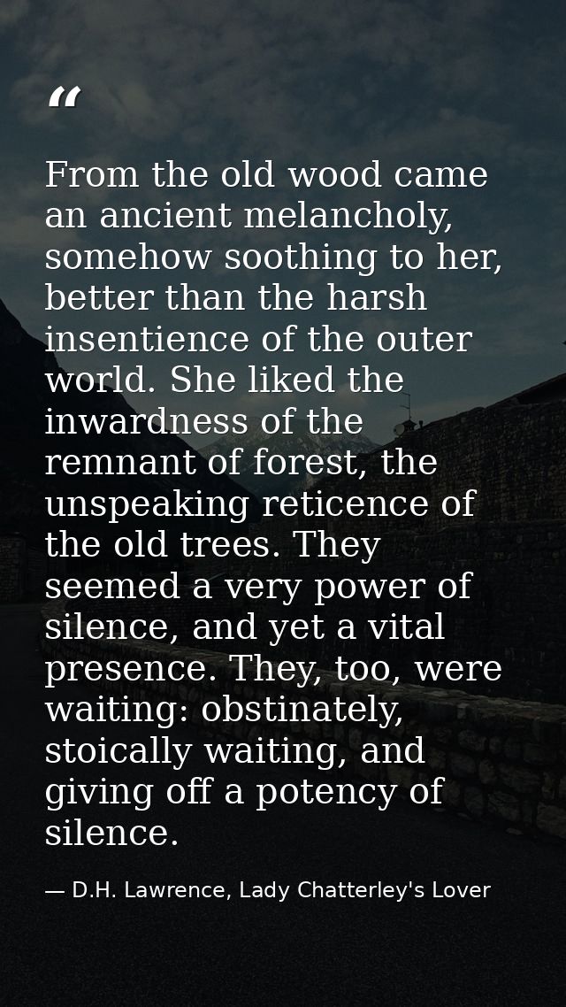 From the old wood came an ancient melancholy, somehow soothing to her, better than the harsh insentience of the outer wo — D.H. Lawrence, Lady Chatterley's Lover
